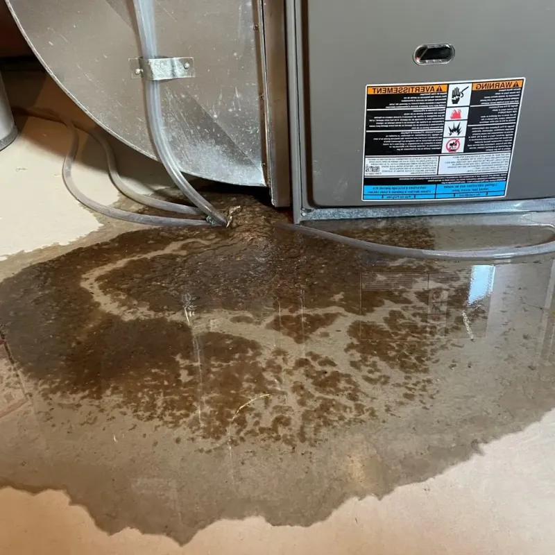 Pipe Burst and Leak Restoration in Munster, IN